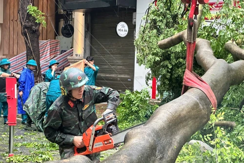 Dọn dẹp cây xanh gãy đổ la liệt sau bão số 3, thông đường sớm nhất