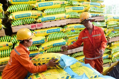 Giá phân bón đứng ở mức cao nhất trong vòng 50 năm qua
