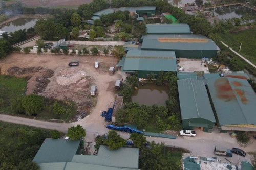 Rầm rộ san lấp đất nông nghiệp: Huyện Thanh Trì yêu cầu khắc phục, trả lại hiện trạng