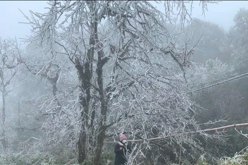 Sáng mai, toàn Bắc bộ chuyển rét tê tái, nhiều nơi xuống dưới 2 độ C