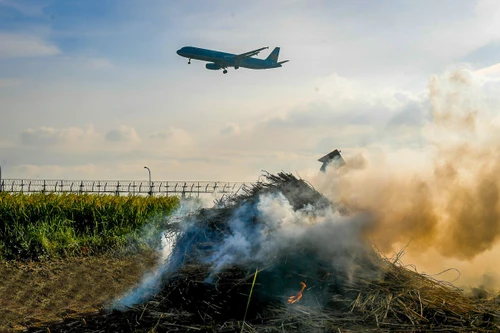 Một chuyến bay chuẩn bị hạ cánh chợt phát hiện diều ở đầu đường băng
