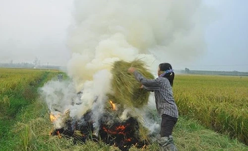 Sau năm 2020, Hà Nội chấm dứt đốt rơm rạ gây ô nhiễm không khí