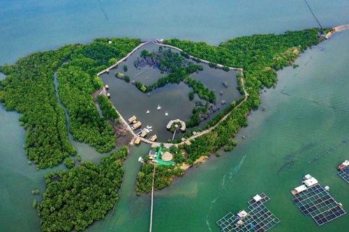 Đến lượt Bà Rịa-Vũng Tàu cũng muốn có quy hoạch sân bay Gò Găng