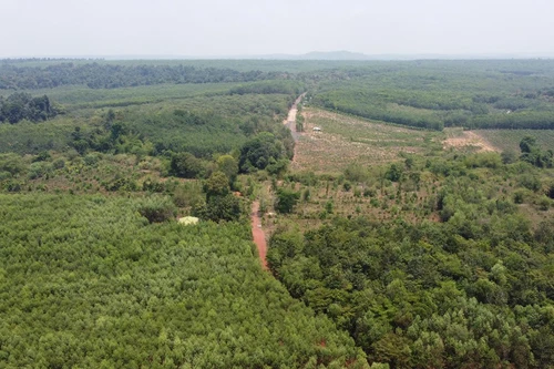 Không làm đường xuyên qua Khu dự trữ sinh quyển thế giới Đồng Nai