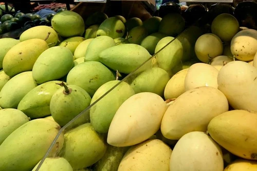 Trung Quốc chỉ tạm dừng thông quan xoài qua cửa khẩu Móng Cái trong 7 ngày