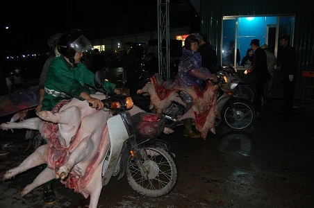 Lợn vẫn "trần truồng" ùn ùn ra chợ