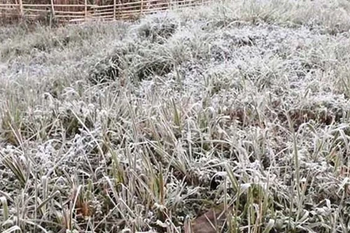 Bắc bộ ngày nắng hanh, đêm rét, vùng núi cao xuất hiện sương muối