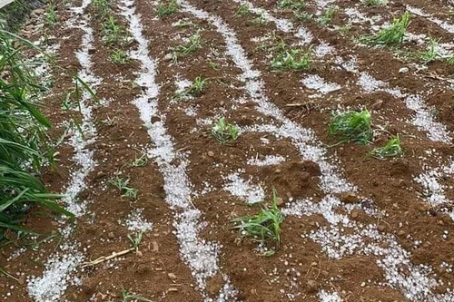 Bắc bộ chấm dứt nắng nóng, đề phòng giông lốc, mưa đá sau nhiều ngày nắng gay gắt