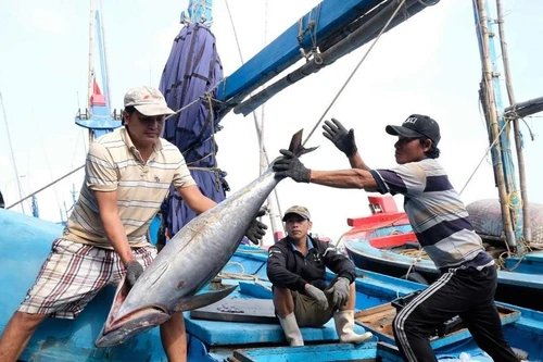 Gỡ thẻ vàng EC: Đề xuất Cảnh sát biển có quyền xử phạt đối với tàu cá vi phạm