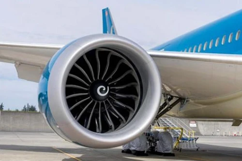 Gia tăng sự cố chim va chạm tàu bay uy hiếp an toàn hàng không