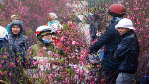 Tết Nguyên đán 2021, thời tiết diễn biến ra sao, có xảy ra mưa đá như năm ngoái?