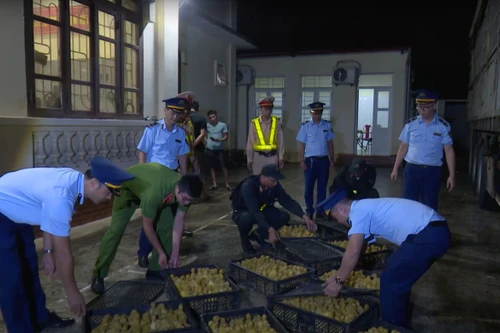 Gia súc, gia cầm nhập lậu tràn về nước: Địa phương kiểm soát còn hạn chế