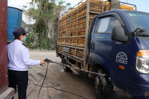 Chăn nuôi, giết mổ nhỏ lẻ: Mối nguy về an toàn thực phẩm khó kiểm soát