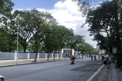 Cấm ô tô từ 16 chỗ trở lên lưu thông trên phố Ngọc Hà