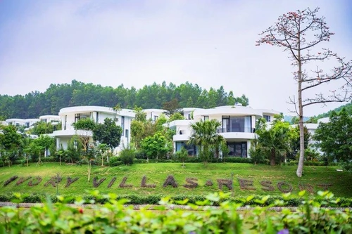 Ivory Villas & Resort: Nơi nghỉ dưỡng, chốn sinh lời