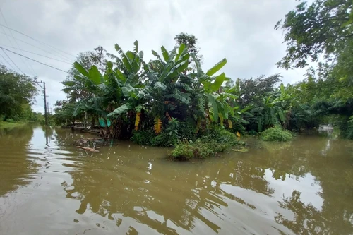 Biển Đông xuất hiện vùng áp thấp, miền Trung tiếp tục mưa lũ phức tạp