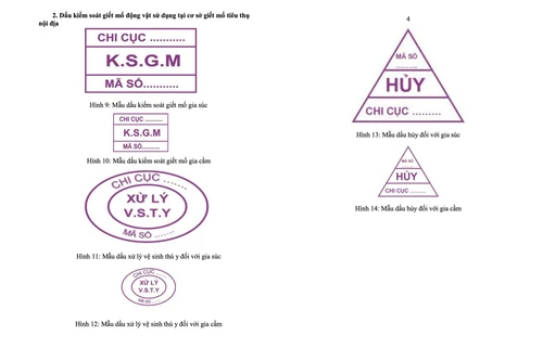 Yêu cầu làm rõ việc đóng dấu kiểm dịch sai đối với lợn bệnh của C.P