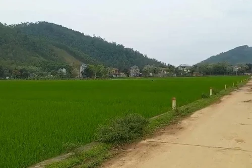 Bộ Tài nguyên “thúc” kiểm tra, xử lý các dự án “ôm” đất chậm triển khai