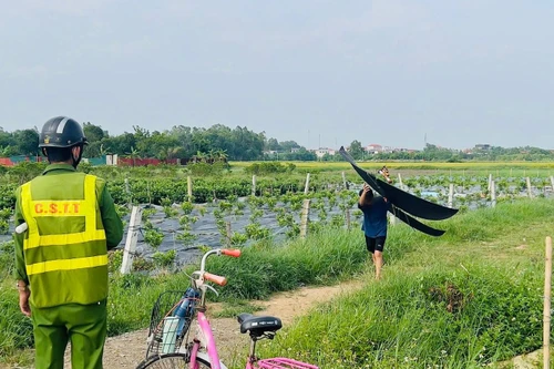 Máy bay sắp hạ cánh chợt phát hiện 3 chiếc diều gần đường băng