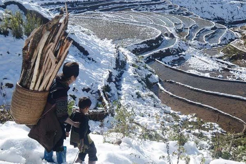 Miền Bắc đón đợt không khí lạnh cực mạnh, vùng núi có băng giá kéo dài sát Tết