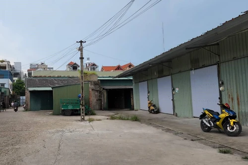 Yêu cầu chấm dứt việc cho thuê đất nông nghiệp trái quy định tại xã Ninh Hiệp 