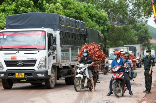 Quốc lộ 31 qua Bắc Giang được nâng cấp với 860 tỷ đồng, mở đường cho vải thiều lưu thông
