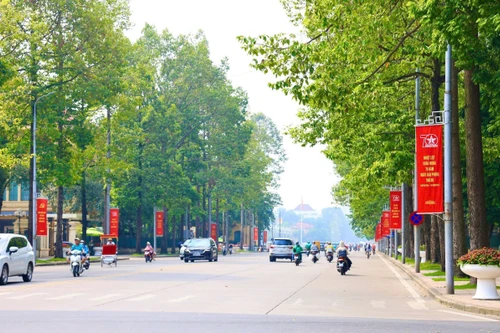 Di dời, chặt hạ 24 cây xanh phục vụ thi công mở rộng đường Hùng Vương kéo dài