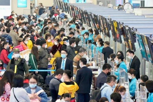 Thị trường hàng không Việt Nam sẽ phục hồi toàn bộ vào cuối năm nay