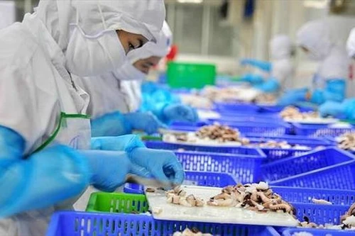 Vì sao EU tăng cảnh báo an toàn thực phẩm nông sản Việt Nam