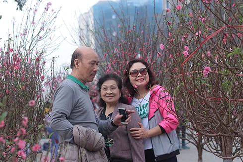 Phố phường Hà Nội ngập tràn không khí Tết