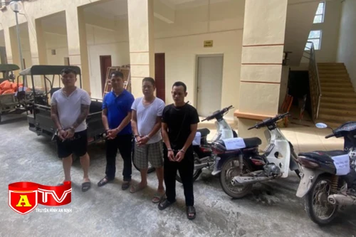 Truy xét làm rõ ổ nhóm gây ra hàng loạt vụ trộm cắp tài sản