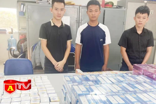 Thu giữ gần 1.000 sản phẩm chức năng giả tại Hà Nội