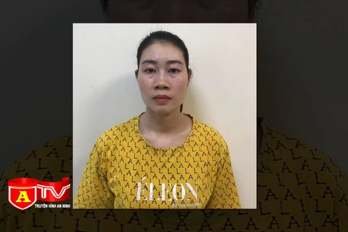 Chủ khu tắm khoáng nóng ở Hà Nội tổ chức môi giới mại dâm