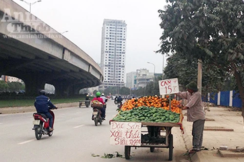 Giật mình "chợ hoa quả" giá bèo, không rõ xuất xứ nguồn gốc ở Hà Nội