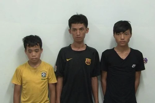 Khám phá ổ nhóm trộm cắp tài sản ở đình, chùa