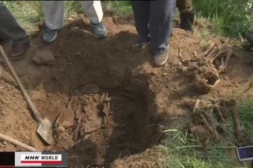 Phát hiện nhiều hài cốt người Nhật Bản ở Bắc Triều Tiên