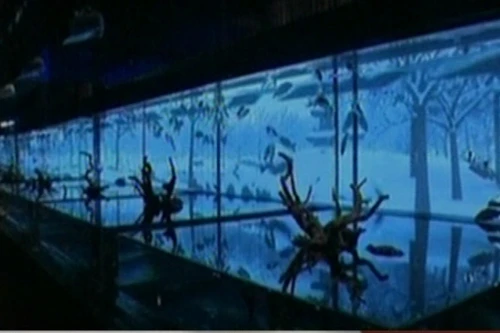 Nhật Bản giới thiệu công viên thủy sinh mới độc đáo