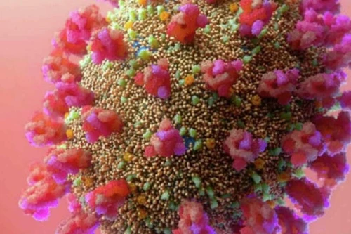 Phát hiện biến thể phụ của Omicron dễ lây lan hơn chủng ban đầu