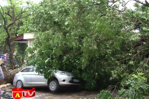 Lãnh đạo thành phố đi kiểm tra, khắc phục hậu quả sau mưa giông