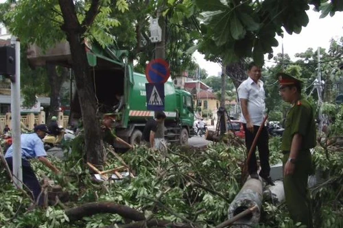 Cuộc sống của người dân Thủ đô trở lại sau cơn giông lốc