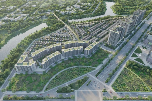 Tiềm năng đầu tư của dự án Sycamore