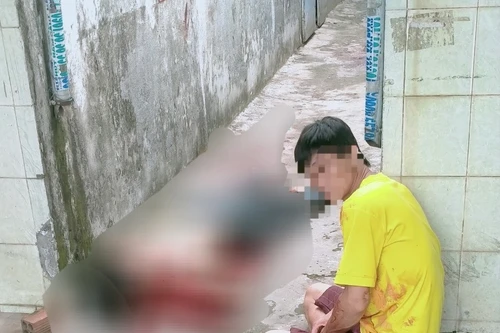 Người phụ nữ bị con trai tâm thần sát hại