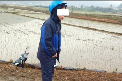 Sự thật vụ cô gái 'bị đạp ngã xuống ruộng, cướp 80 triệu đồng'