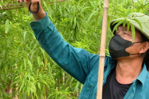 Phát huy vai trò đội ngũ cán bộ cơ sở trong công tác tái hòa nhập cộng đồng