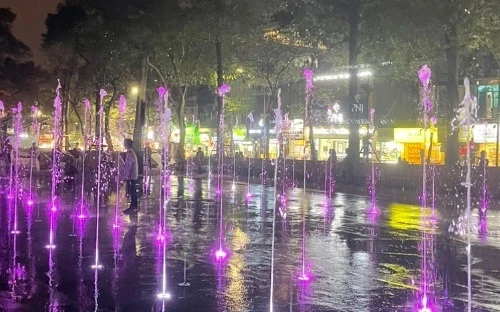 Vườn hoa Vạn Xuân rực rỡ sắc màu thu hút người dân Thủ đô đến vui chơi, thư giãn