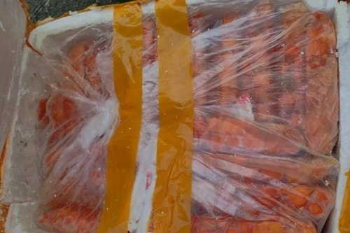 Hà Nội: Phát hiện điểm tập kết 1 tấn trứng gà non, nầm đông lạnh 'trôi nổi'