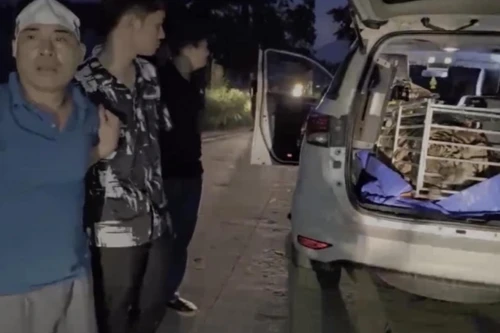 Phát hiện cá thể hổ còn sống nặng hơn 2,5 tạ trên xe Toyota Fortuner 