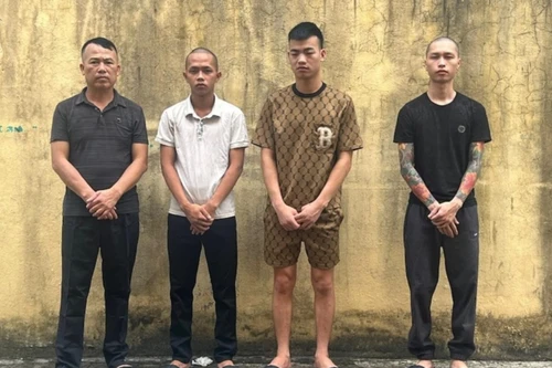 Từ lời khẩn cầu của gia đình của thiếu nữ 13 tuổi