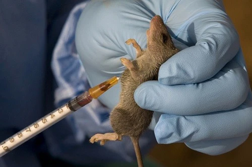 Phương pháp mới dự đoán hóa chất độc hại