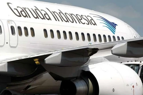 Máy bay không thể cất cánh vì ong